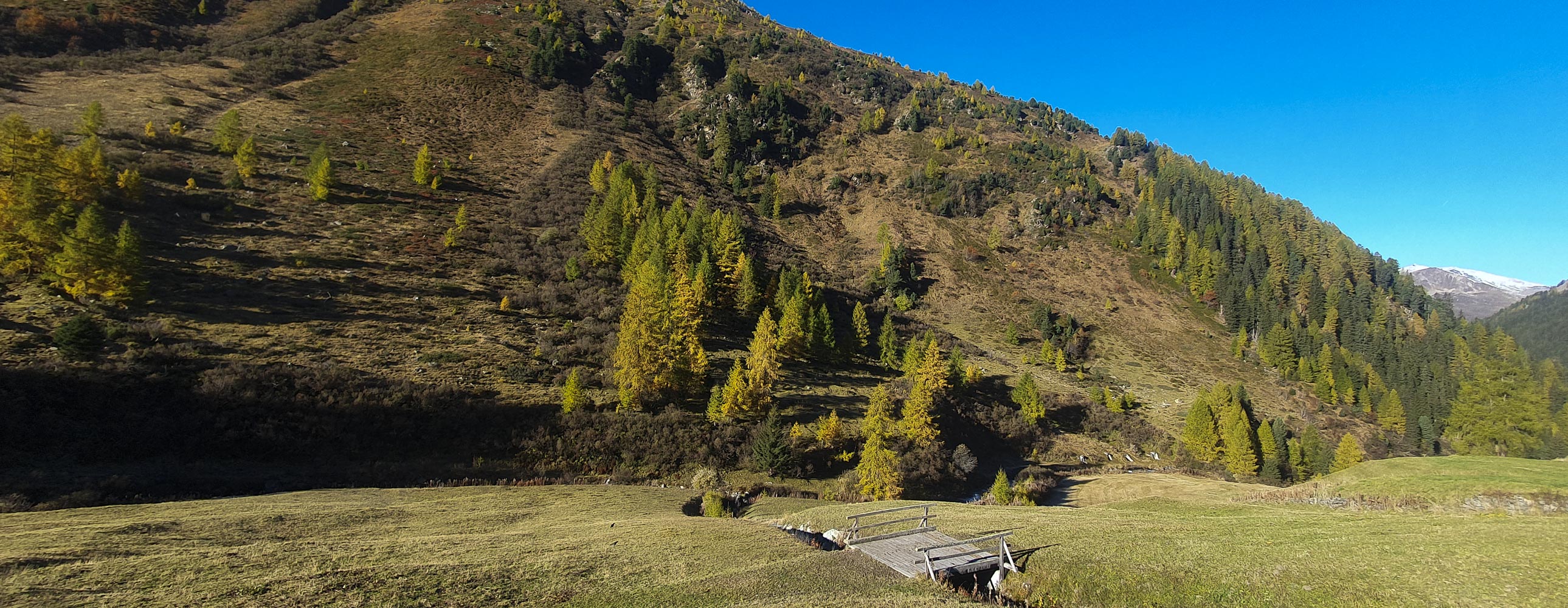 Im Herbst Davos Wohnen Leben